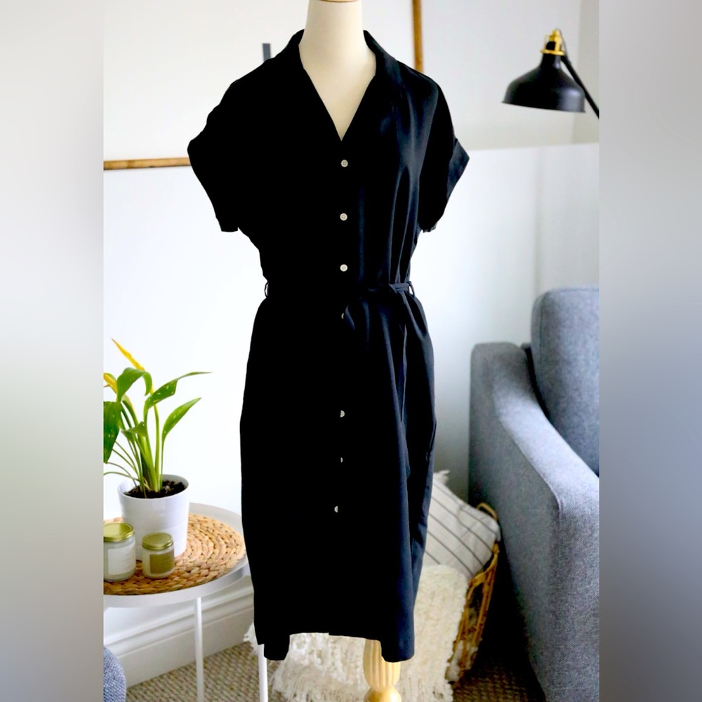 Frank and Oak Camp Collar Dress
